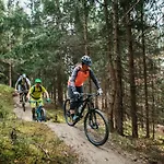 Seecamping Berghof - Mobilheime *