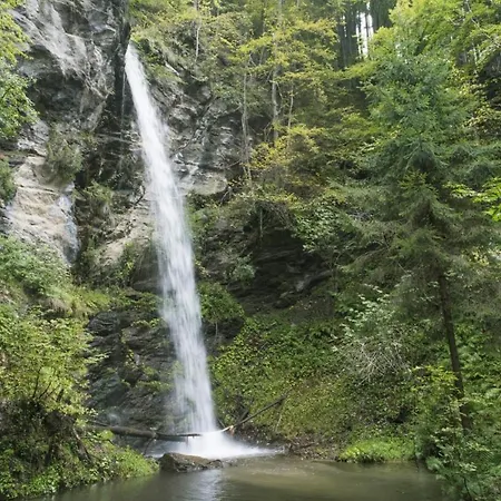 Seecamping Berghof - Mobilheime