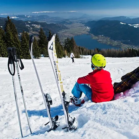 キャンプ場 Seecamping Berghof - Mobilheime *