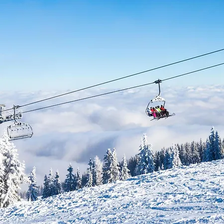 Campingplatz Seecamping Berghof - Mobilheime *