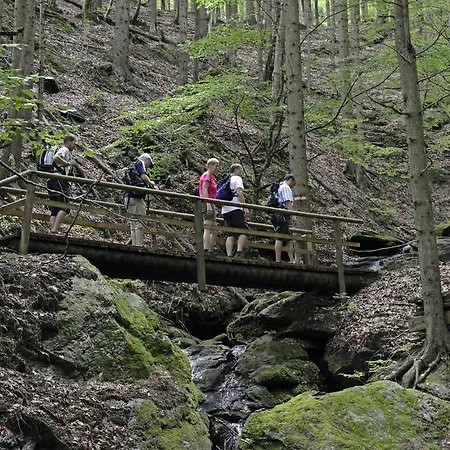 Kemp Seecamping Berghof - Mobilheime