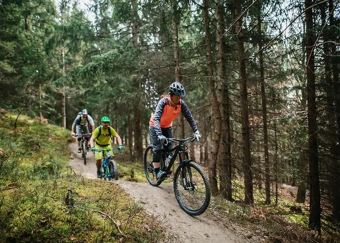 Seecamping Berghof - Mobilheime *