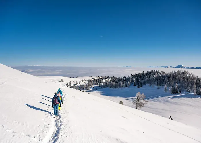 Kemping Seecamping Berghof - Mobilheime *