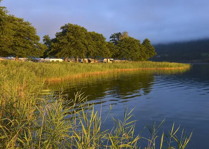 Campingplads Seecamping Berghof - Mobilheime *
